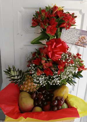 Astromelias frutales R50